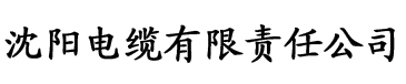 高中生校花小雪小柔水上乐园日记电缆厂logo